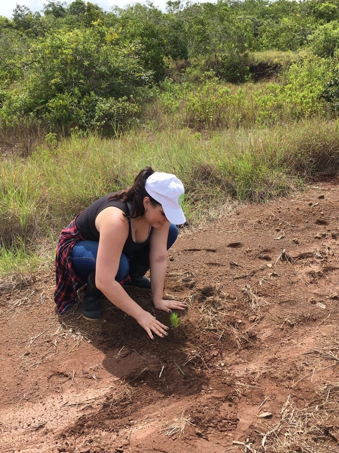 Tree planting collaboration